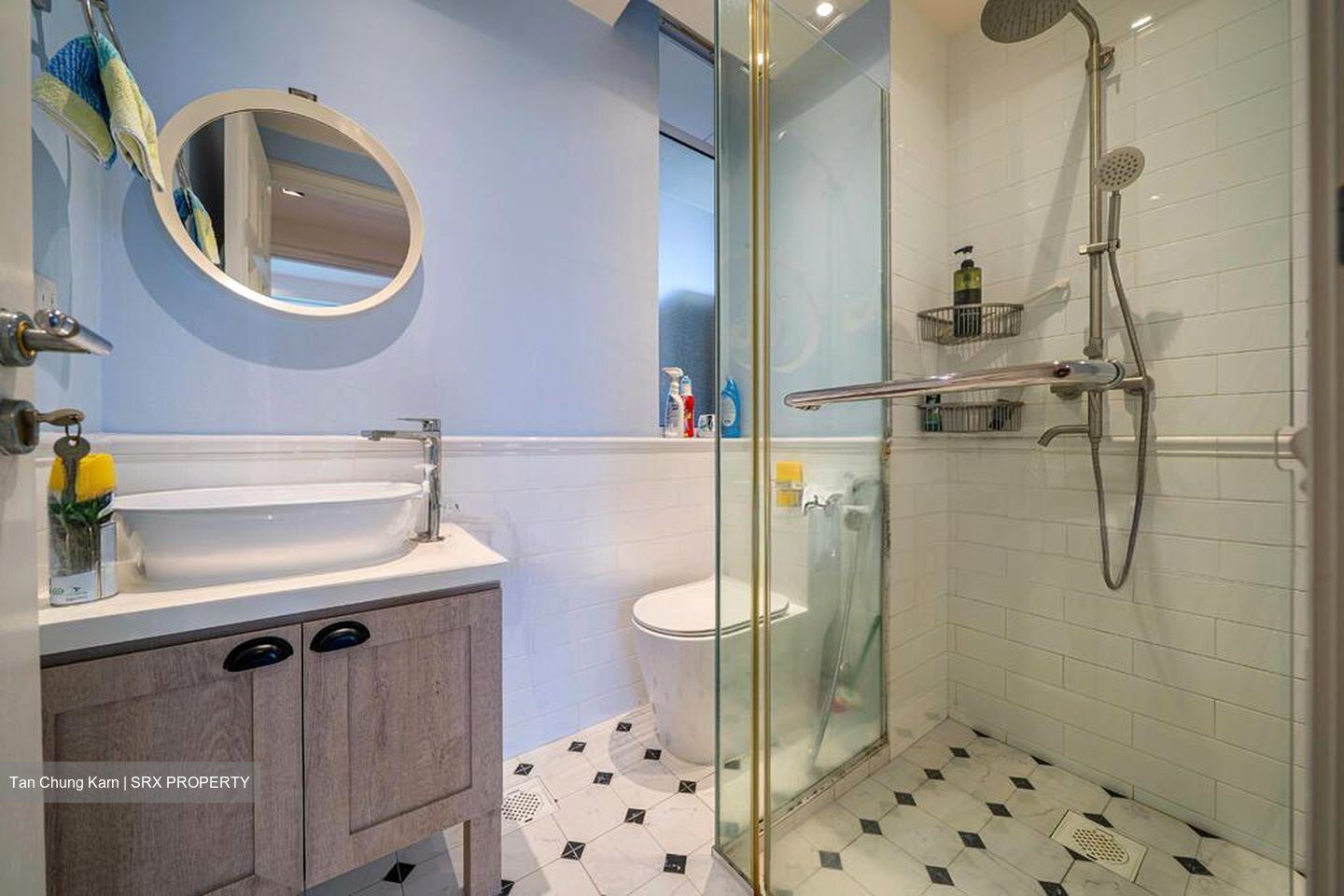 Cavendish Park (D21), Condominium #506093811